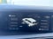 2027 Hyundai PALISADE XRT Pro